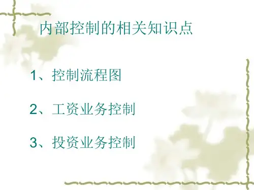 企业内部控制流程图.pptx