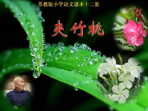 《夹竹桃》课件PPT
