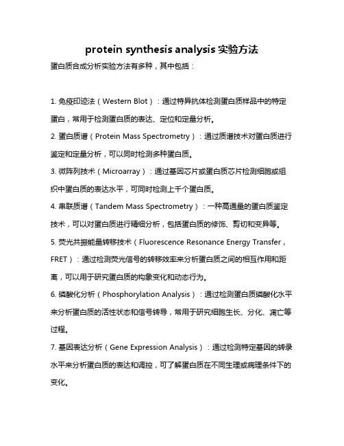 protein synthesis analysis实验方法