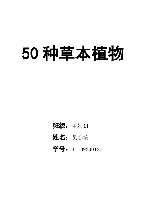 50种草本植物