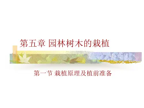 园林树木的栽植