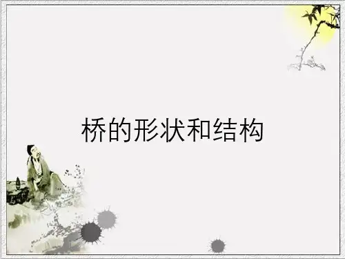 桥的形状和结构