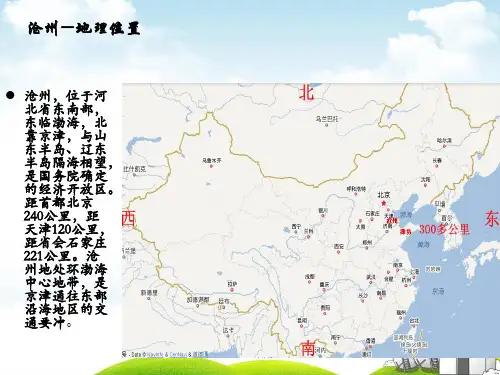 家乡美我的家乡沧州