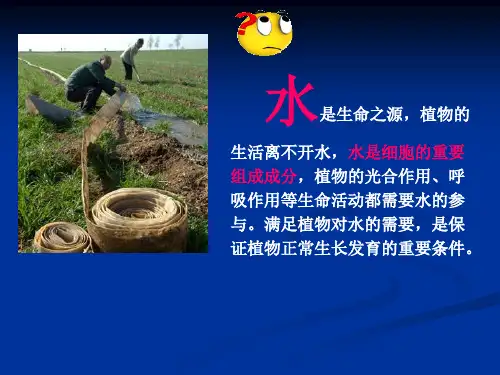 植物生长需要水和无机盐