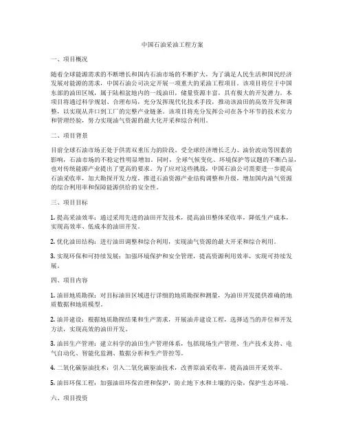 中国石油采油工程方案