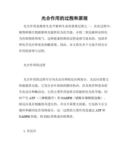 光合作用的过程和原理