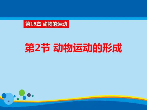 《动物运动的形成》PPT课件【精选推荐课件】