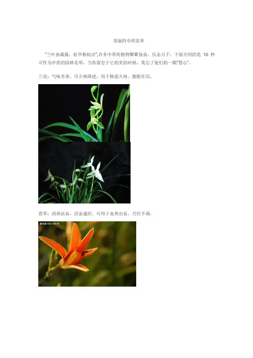美丽的中药花草