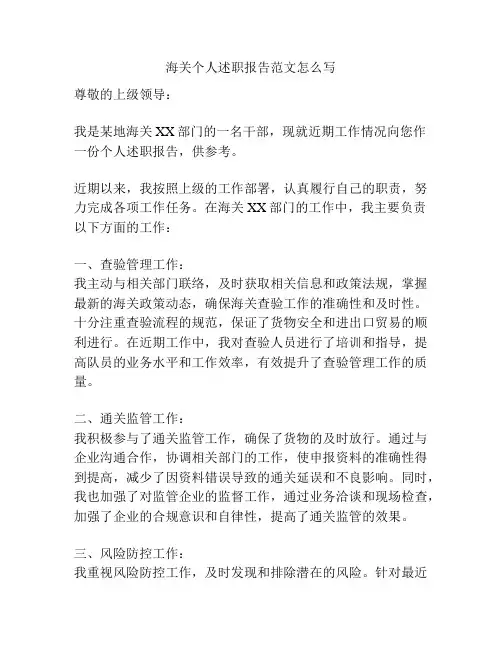 海关个人述职报告范文怎么写
