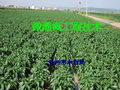 滴灌工程技术培训课件