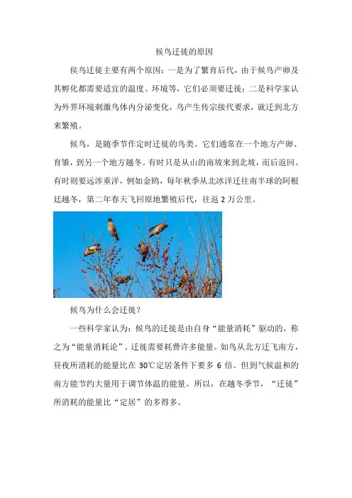 候鸟迁徙的原因