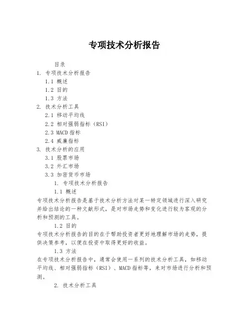 专项技术分析报告