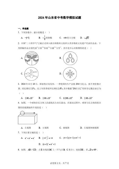 2024年山东省中考数学模拟试题