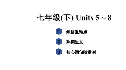 2020-2021学年人教版河北省中考英语复习七年级下册Units5~8重难点复习
