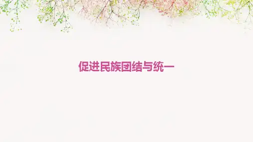 促进民族团结与统一
