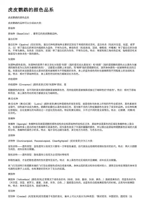 虎皮鹦鹉的颜色品系