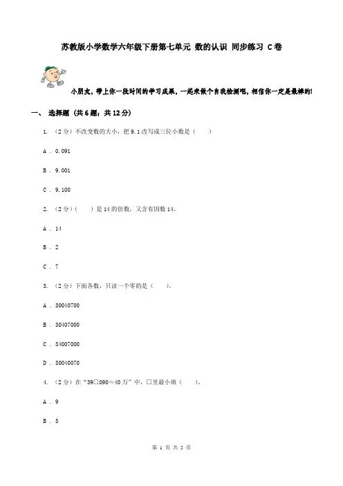 苏教版小学数学六年级下册第七单元 数的认识 同步练习 C卷