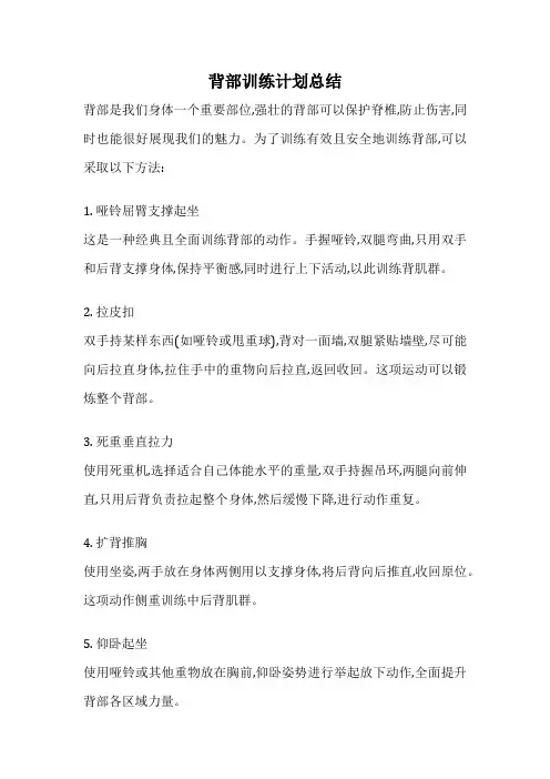 背部训练计划总结