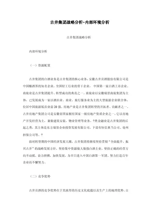 古井集团战略分析-内部环境分析