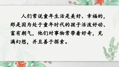 《童年的发现》优秀精品课件
