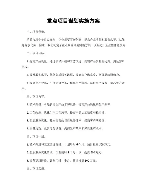 重点项目谋划实施方案