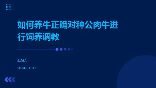 如何养牛正确对种公肉牛进行饲养调教