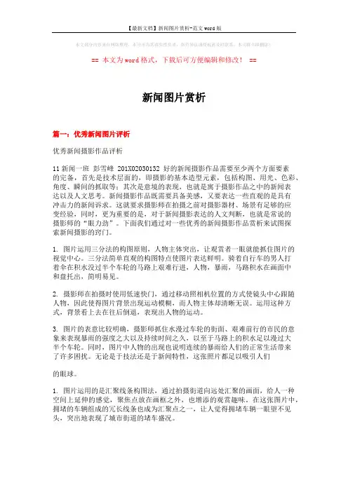 【最新文档】新闻图片赏析-范文word版 (16页)