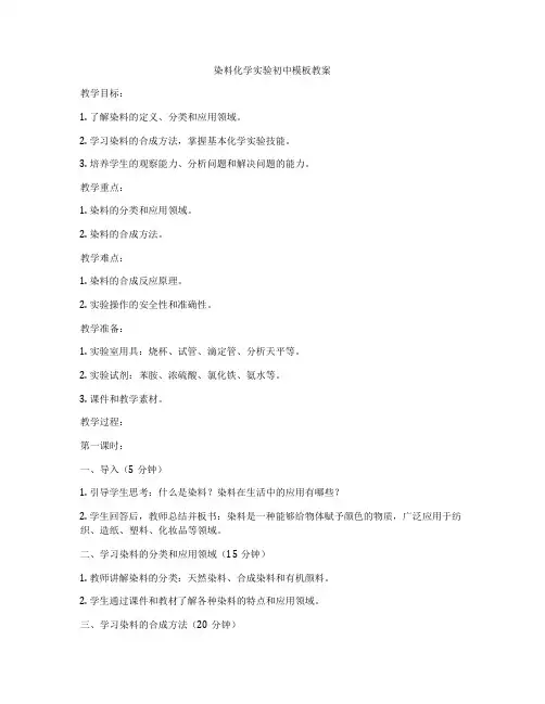 染料化学实验初中模板教案