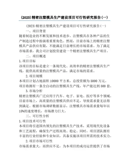 (2023)精密注塑模具生产建设项目可行性研究报告(一)