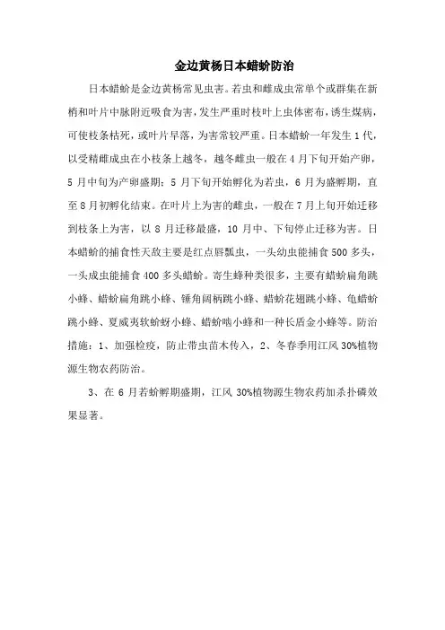 金边黄杨日本蜡蚧防治