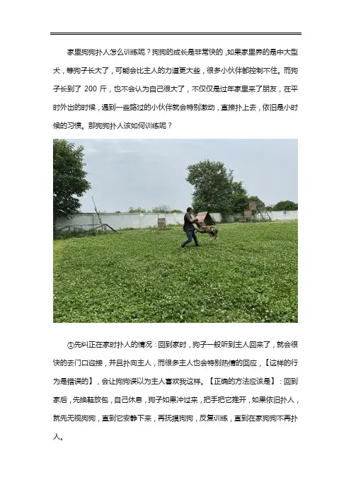 狗狗扑人该怎么训啊？