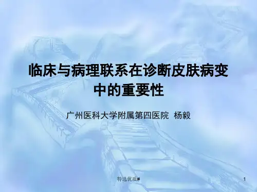 临床与病理联系在诊断皮肤病变(参考材料)