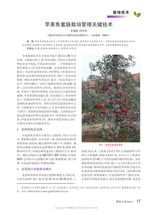 苹果免套袋栽培管理关键技术