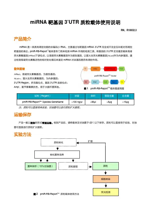 miRNA 靶基因3’UTR 质粒载体使用说明