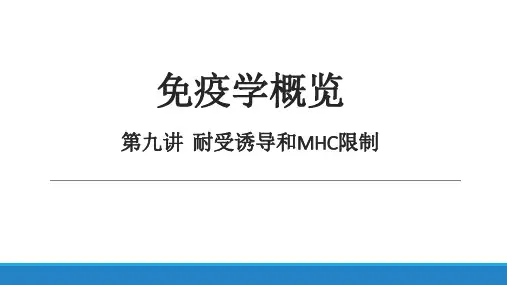 免疫学概览第九章-耐受诱导和MHC限制