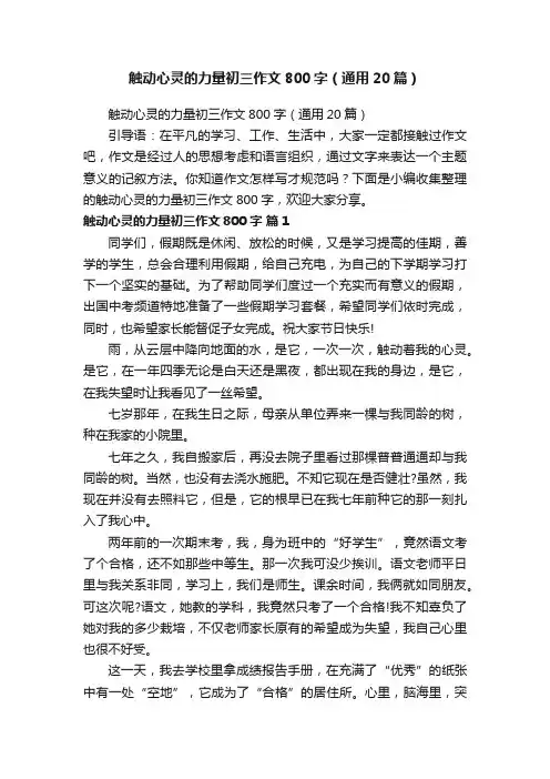 触动心灵的力量初三作文800字（通用20篇）