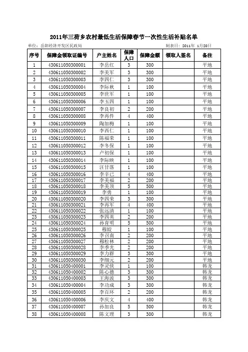 2010低保