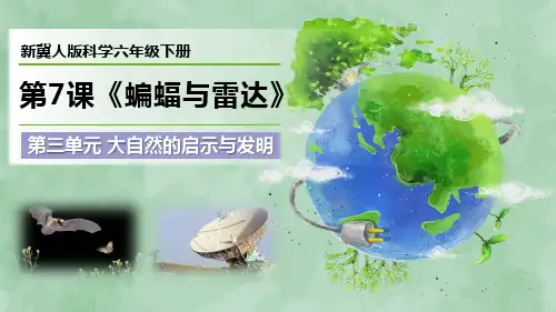 新冀人版科学六年级下册第7课《蝙蝠与雷达》优质课件