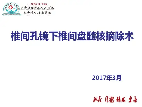 椎间孔镜下髓核摘除术ppt课件