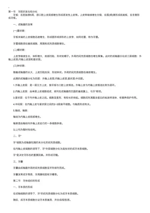 口腔执业医师组织病理学：牙的发育