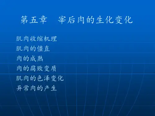 肉制品工艺学宰后肉的生化变化