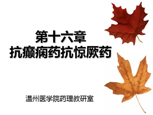 抗癫痫药PPT课件