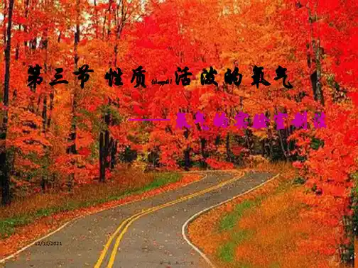 九年级化学全册 第二章 第一节 性质活泼的氧气课件 