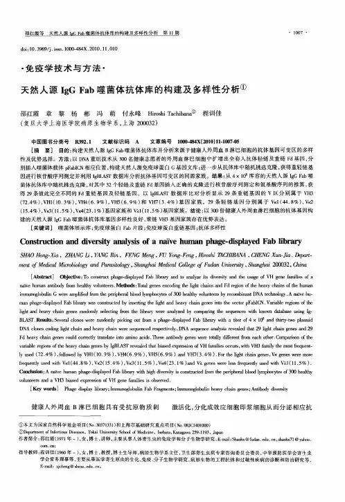 天然人源IgG Fab噬菌体抗体库的构建及多样性分析