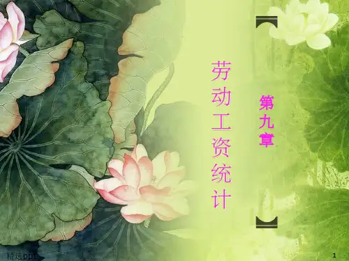 劳动工资统计ppt课件