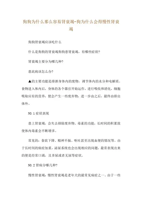 狗狗为什么那么容易肾衰竭-狗为什么会得慢性肾衰竭