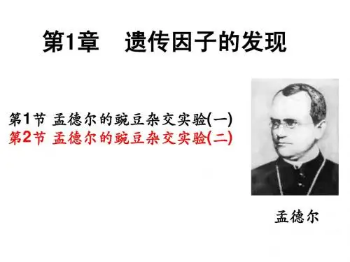 第1章(2)自由组合定律2015