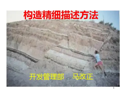 构造精细描述方法PPT课件