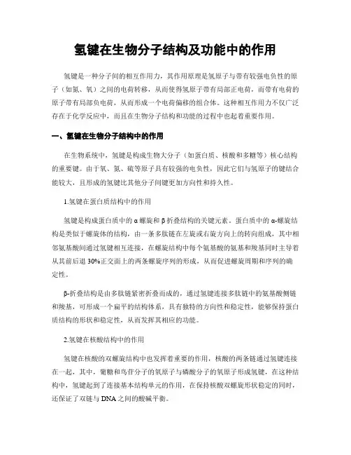 氢键在生物分子结构及功能中的作用