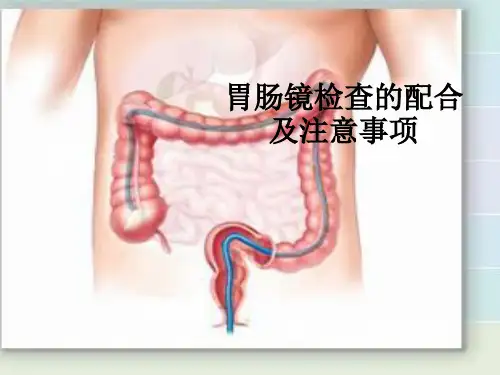 胃肠镜检查的配合及注意事项ppt课件